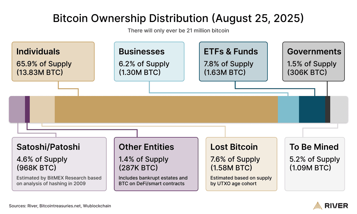 River research infographic showing bitcoin ownership distribution by category